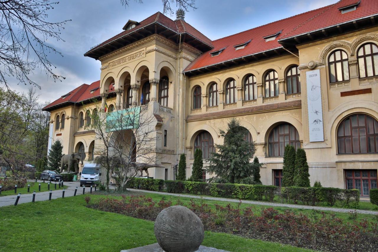 Oak Apartment - Piata Victoriei Bucharest Exterior photo